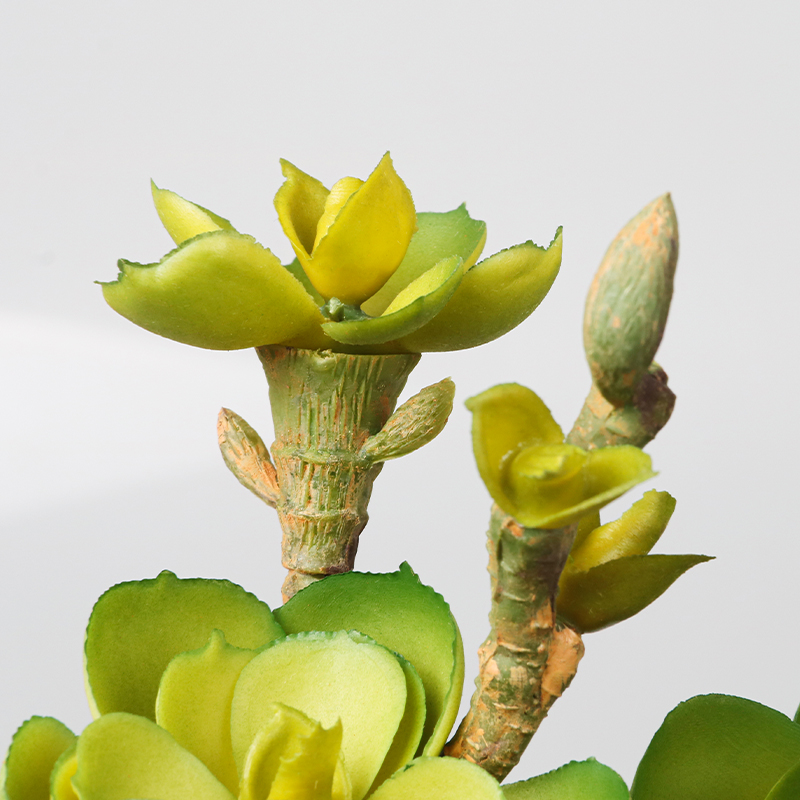 Artificial plant,set of 2,indoor/outdoor stem succulent