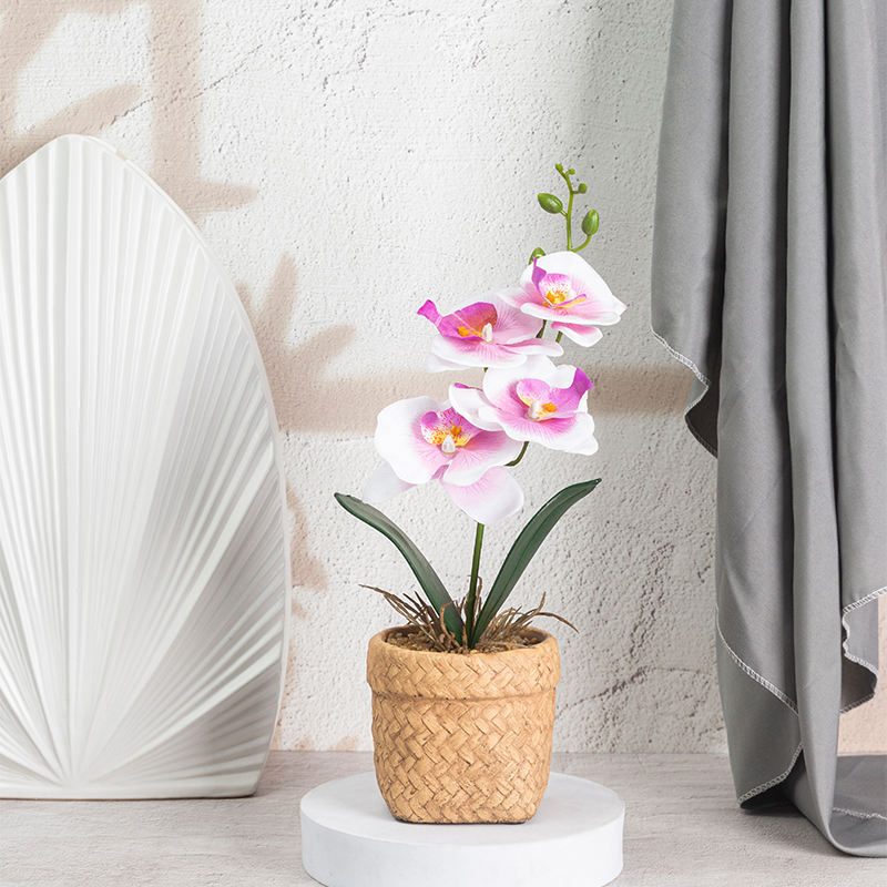 Artifi Butterfly orchid potted plant w pot,  indoor/outdoor flowers , 4.05 inches