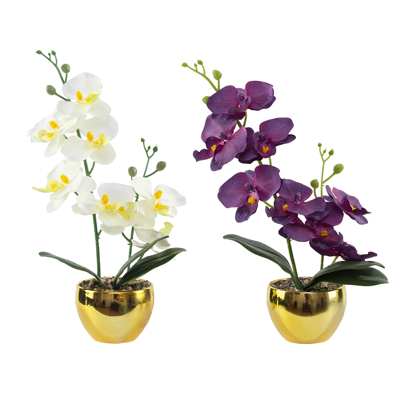 Simulated Phalaenopsis Potted Plant